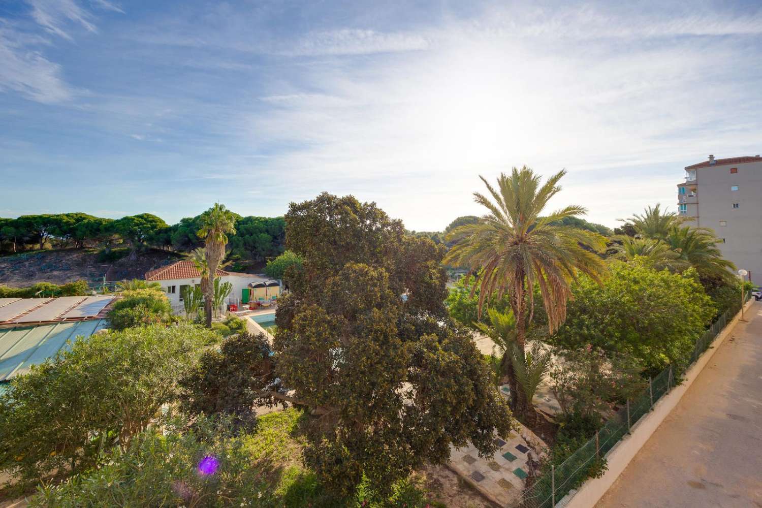 AMPLIO Y LUMINOSO PISO FRENTE A PARQUE NATURAL EN GUARDAMAR DEL SEGURA