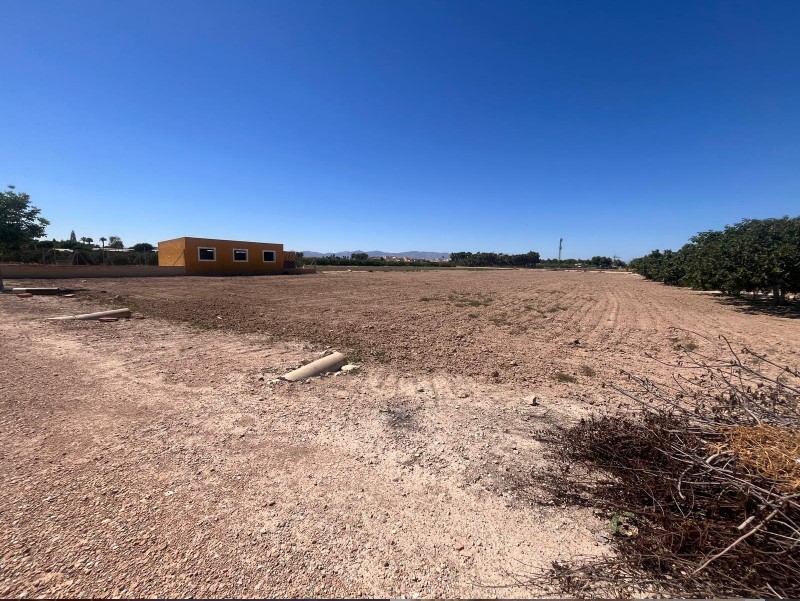 FINCA RÚSTICA CON GRAN PARCELA, PISCINA Y CUADRAS PARA CABALLOS
