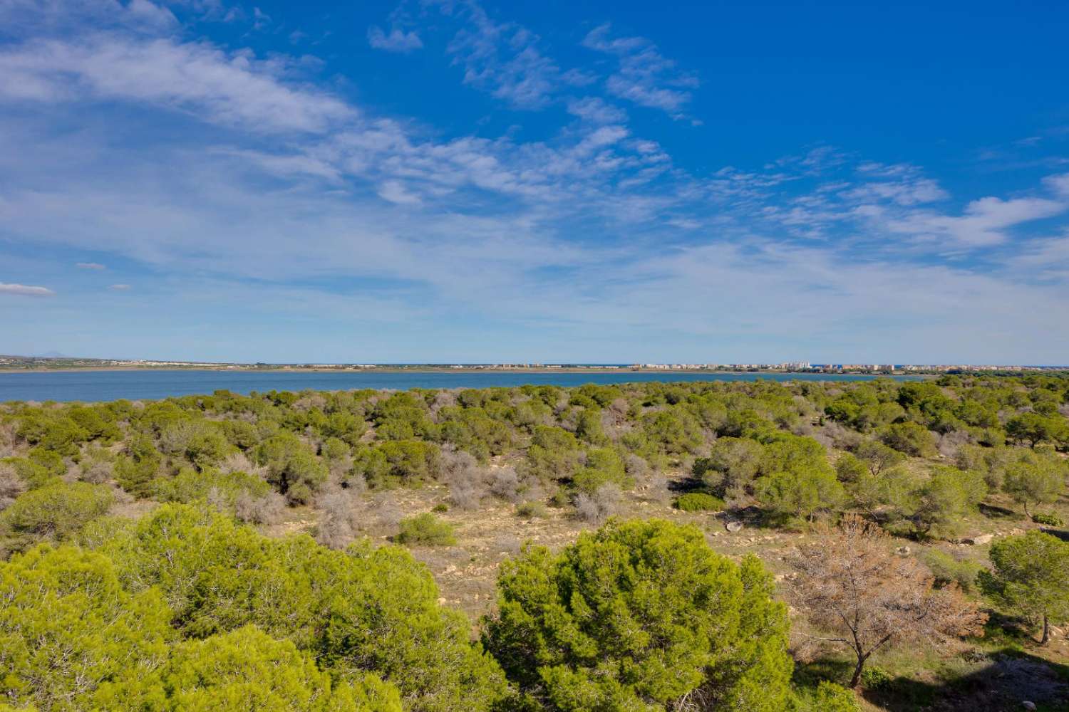 APPARTAMENTO AL PIANO TERRA CON TERRAZZA E VISTA SULLA PISCINA