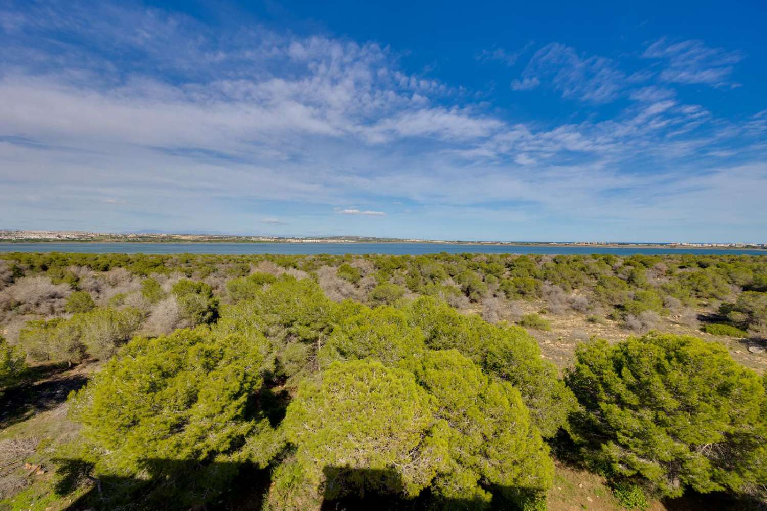 APPARTAMENTO AL PIANO TERRA CON TERRAZZA E VISTA SULLA PISCINA