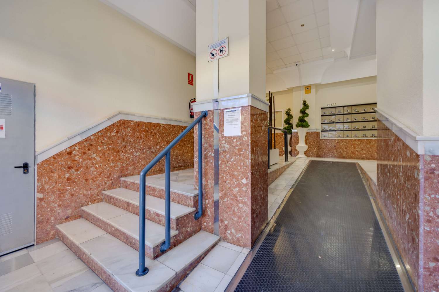 КВАРТИРА С ТЕРРАСОЙ, БАССЕЙНОМ И ГАРАЖОМ В ПРИВИЛЕГИРОВАННОМ РАЙОНЕ ТОРРЕВЬЕХИ