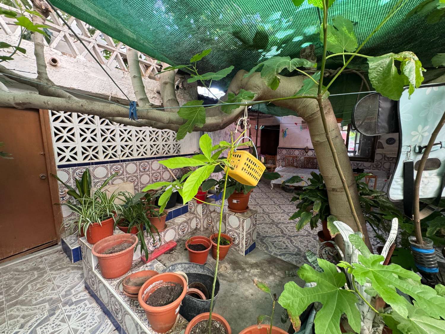 TRADITIONELT HUS I BENEJÚZAR-HUSET MED SJÆL OG PLADS I HJERTET AF VEGA BAJA