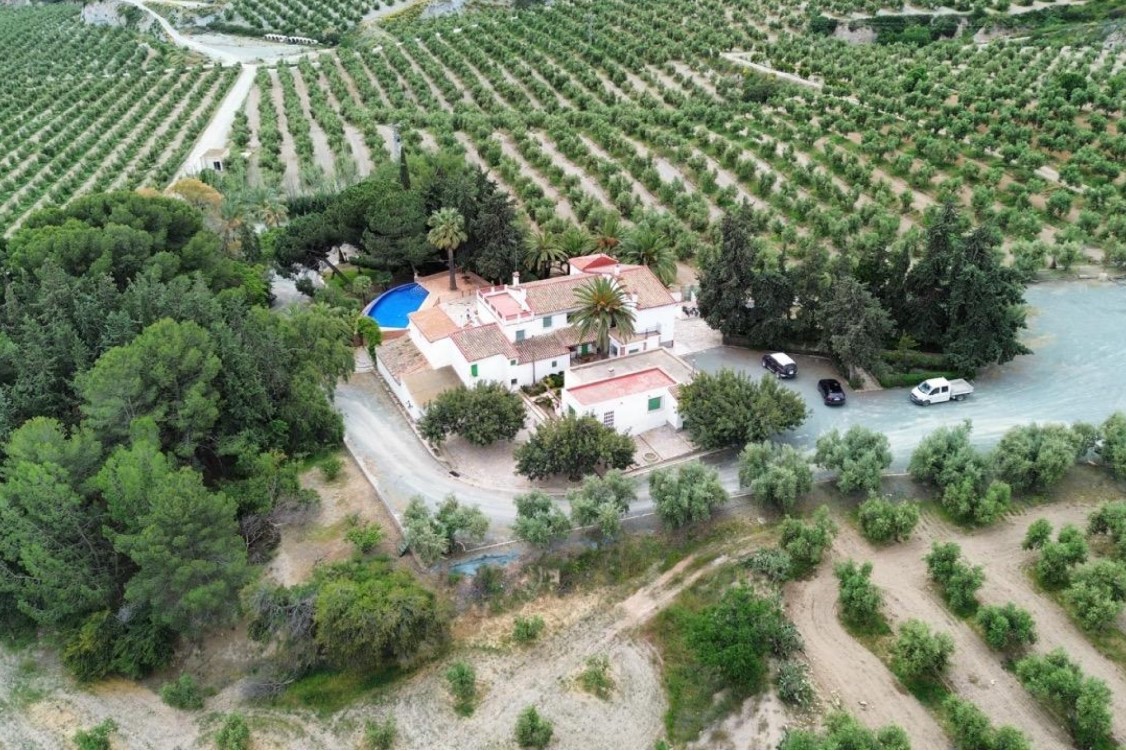 FINCA ECOLÓGICA DE 156 HA CON OLIVAR EN PRODUCCIÓN, CASA DE 750 M² Y ALTO POTENCIAL DE NEGOCIO