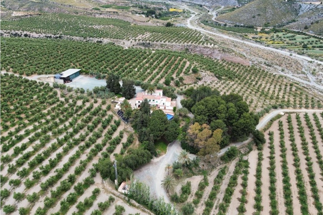 FINCA ECOLÓGICA DE 156 HA CON OLIVAR EN PRODUCCIÓN, CASA DE 750 M² Y ALTO POTENCIAL DE NEGOCIO