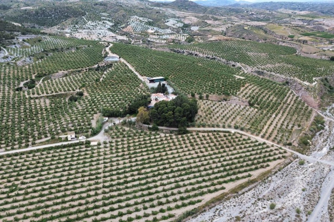 FINCA ECOLÓGICA DE 156 HA CON OLIVAR EN PRODUCCIÓN, CASA DE 750 M² Y ALTO POTENCIAL DE NEGOCIO