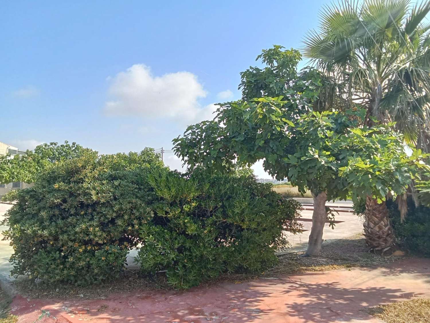 BUNGALOW PLANTA BAJA EN ESQUINA TOTALMENTE REFORMADO CON PARCELA PRIVADA Y SIN GASTOS DE COMUNIDAD