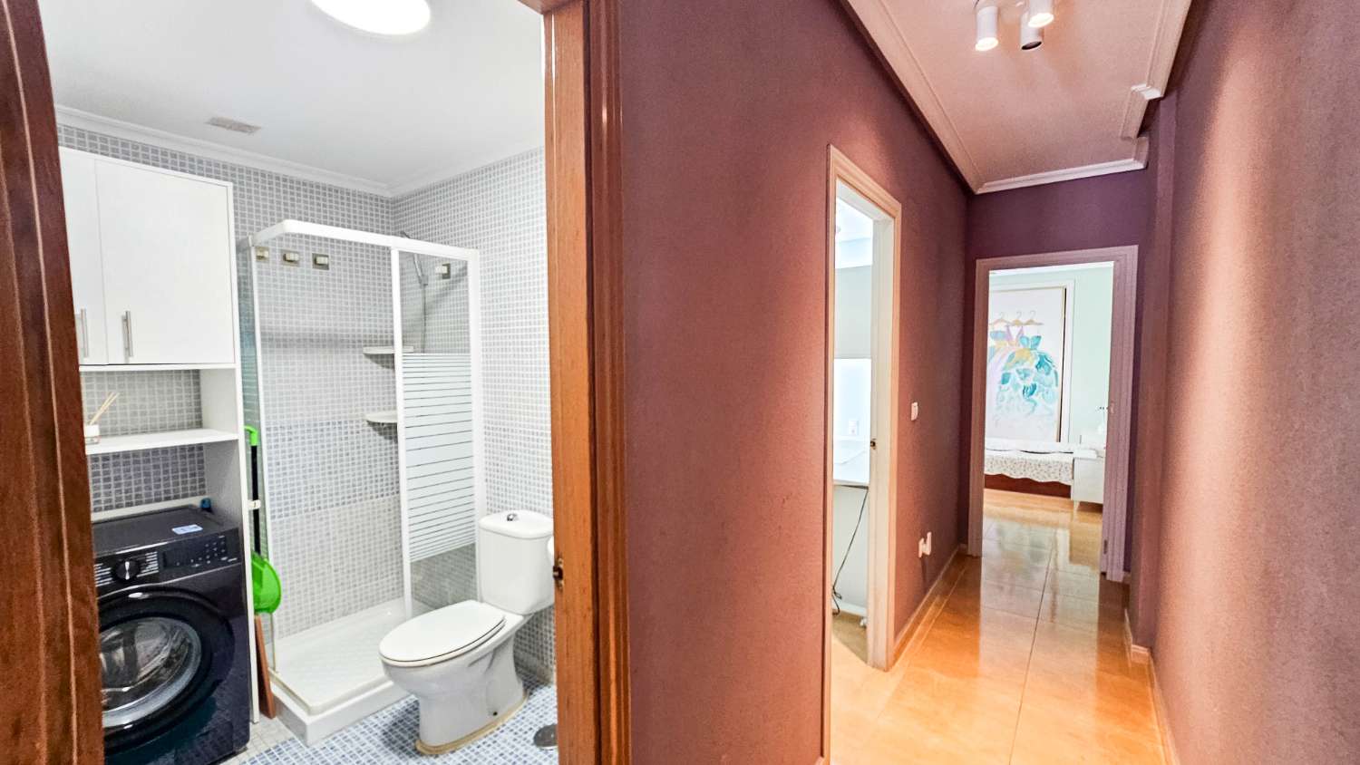 AMPLIO APARTAMENTO DE 2 DORMITORIOS Y 2 BAÑOS EN PLENO CENTRO DE TORREVIEJA CON VISTAS AL LAGO ROSA