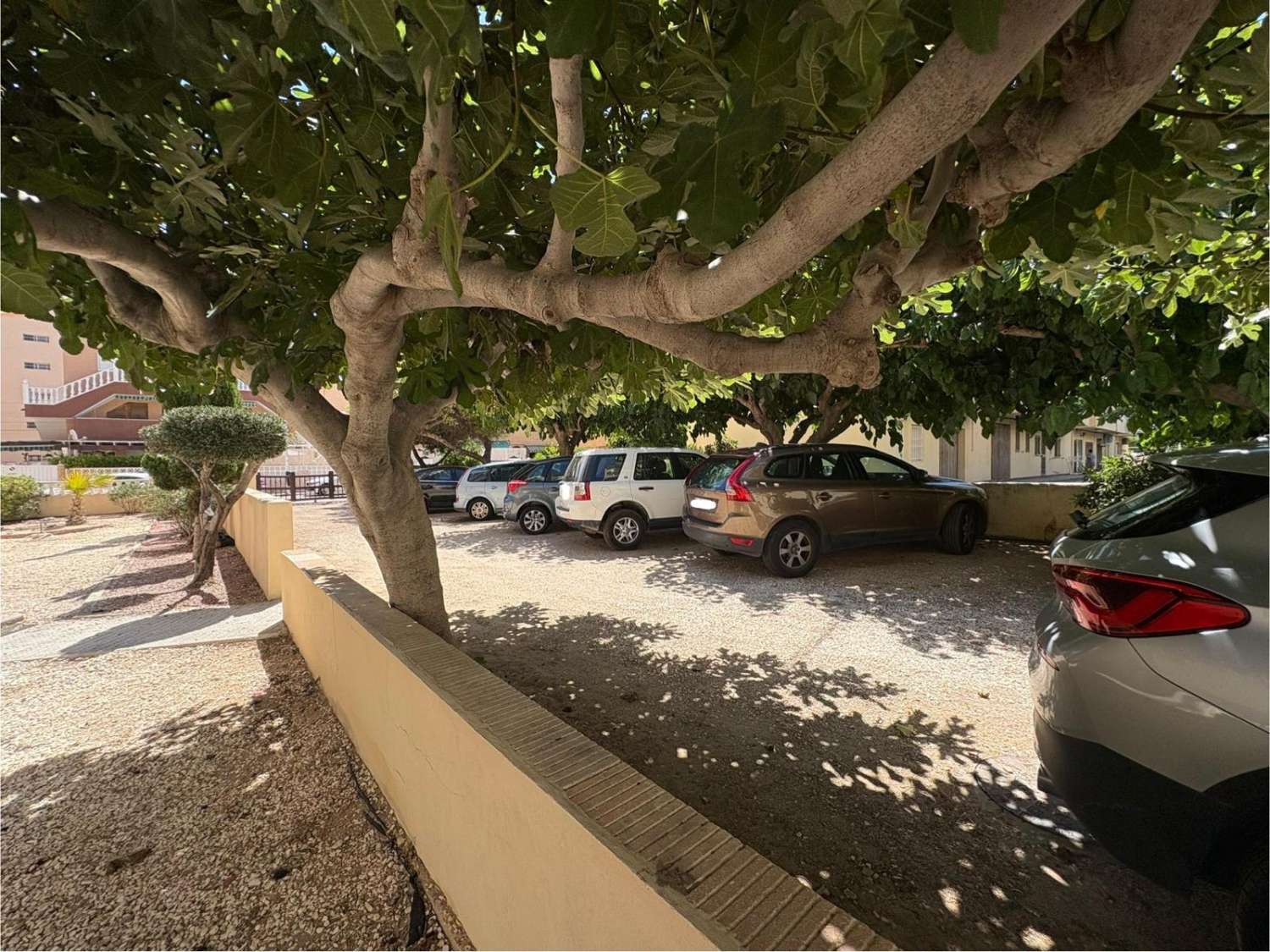 APARTAMENTO CON VISTAS AL MAR, ORIENTACIÓN SUR Y SOLÁRIUM A SOLO 250 METROS DE LA PLAYA DE LA MATA