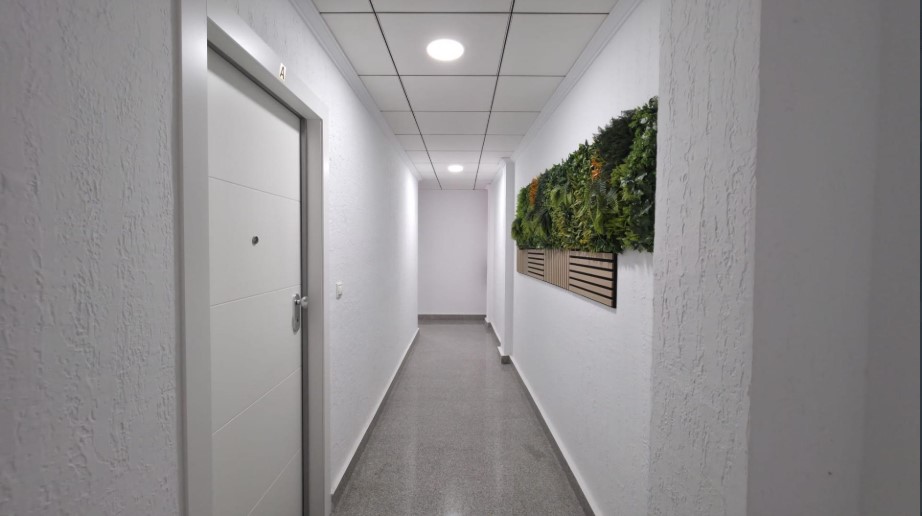 APARTAMENTO REFORMADO, LUMINOSO Y TODO EXTERIOR EN TORREVIEJA