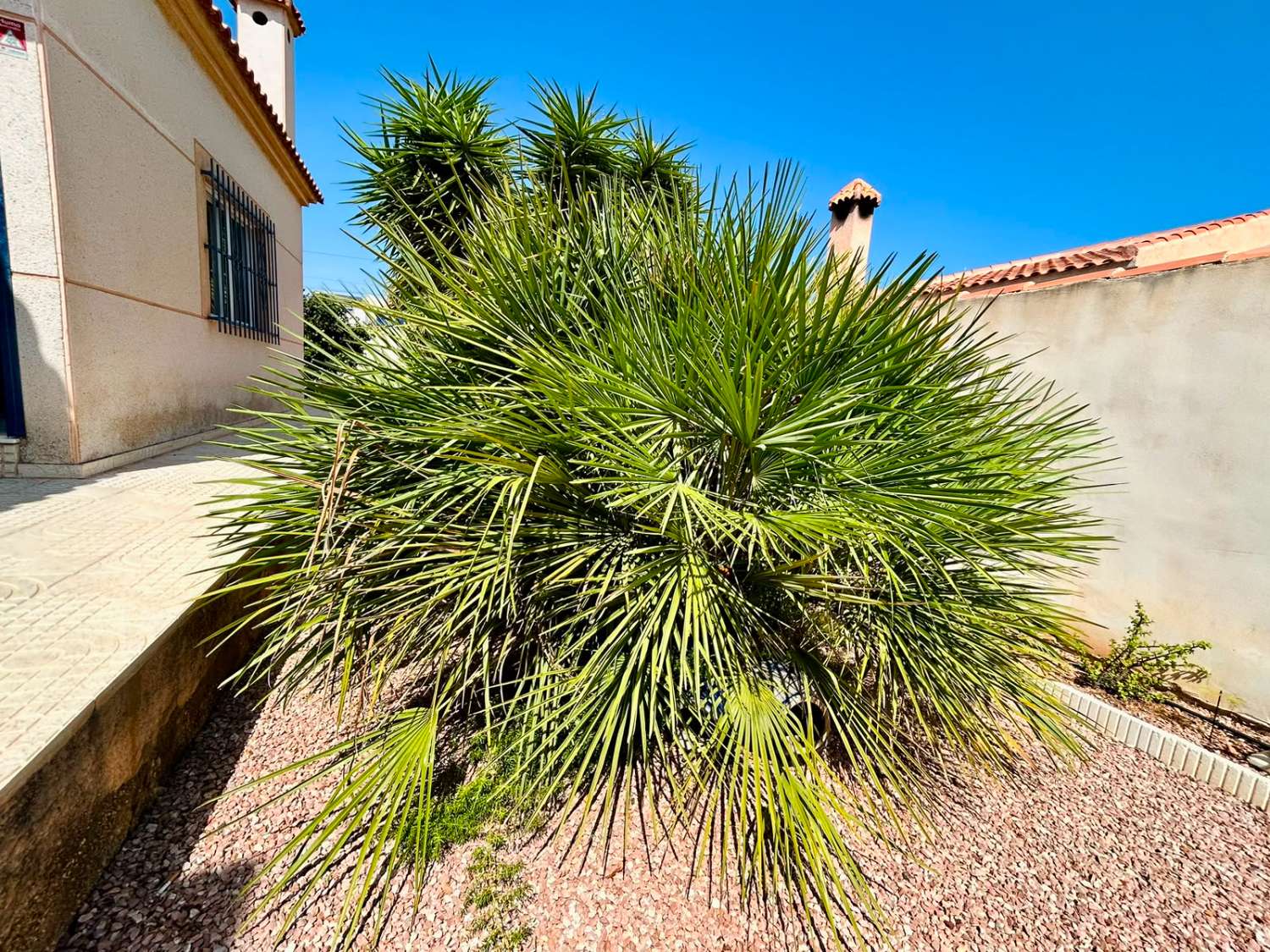 VILLA CON AMPLIO JARDÍN PRIVADO Y PISCINA COMUNITARIA EN SAN LUIS, TORREVIEJA