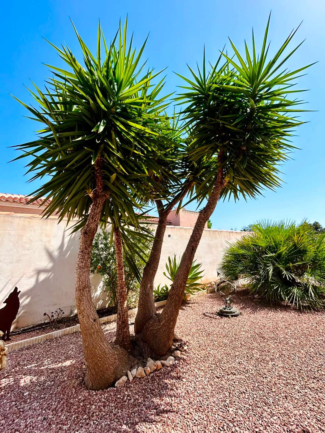 VILLA CON AMPLIO JARDÍN PRIVADO Y PISCINA COMUNITARIA EN SAN LUIS, TORREVIEJA