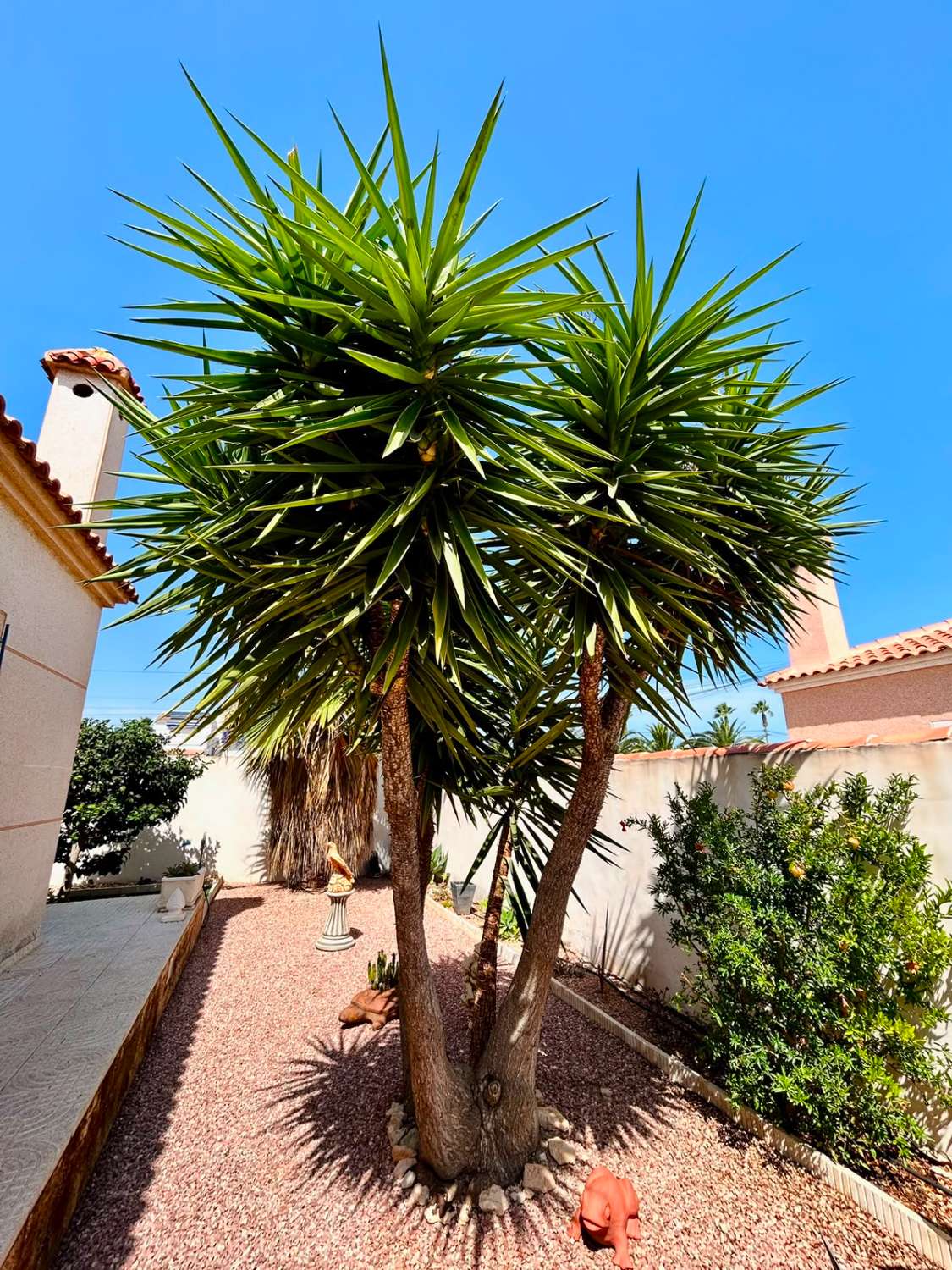 VILLA CON AMPLIO JARDÍN PRIVADO Y PISCINA COMUNITARIA EN SAN LUIS, TORREVIEJA