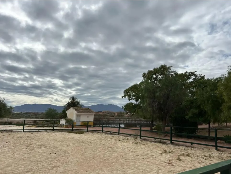FINCA RÚSTICA ÚNICA DE 14.600 M² CON DOS VIVIENDAS, PISCINA Y COMPLEJO ECUESTRE EN LA MURADA