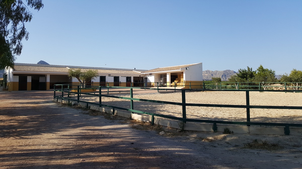 FINCA RÚSTICA ÚNICA DE 14.600 M² CON DOS VIVIENDAS, PISCINA Y COMPLEJO ECUESTRE EN LA MURADA