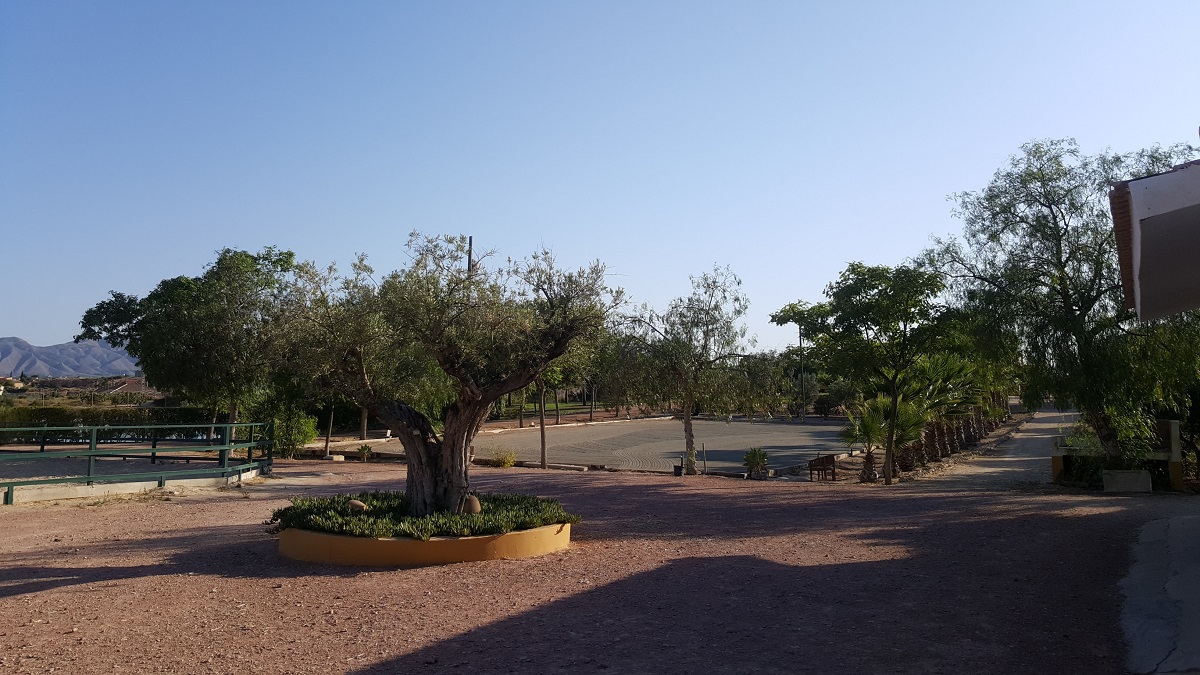 FINCA RÚSTICA ÚNICA DE 14.600 M² CON DOS VIVIENDAS, PISCINA Y COMPLEJO ECUESTRE EN LA MURADA