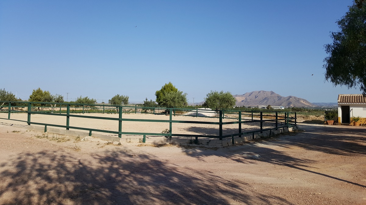 FINCA RÚSTICA ÚNICA DE 14.600 M² CON DOS VIVIENDAS, PISCINA Y COMPLEJO ECUESTRE EN LA MURADA