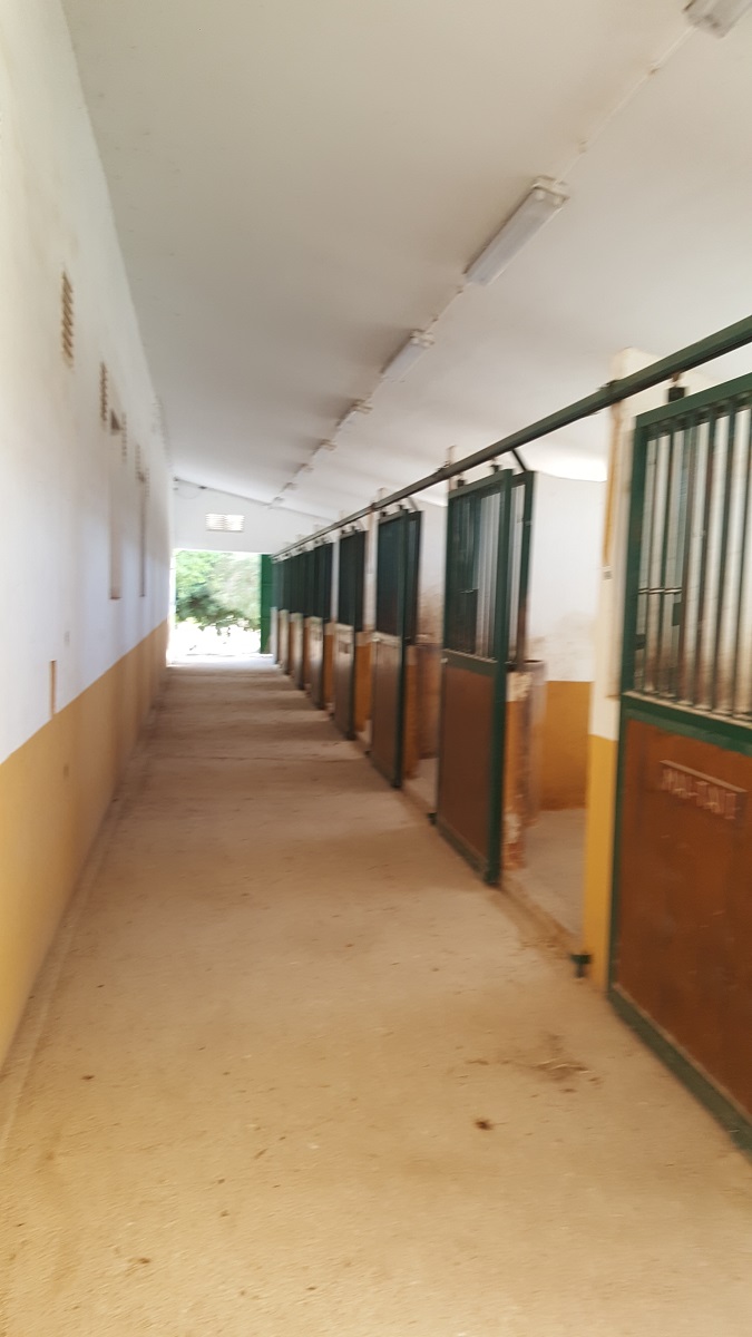 FINCA RÚSTICA ÚNICA DE 14.600 M² CON DOS VIVIENDAS, PISCINA Y COMPLEJO ECUESTRE EN LA MURADA