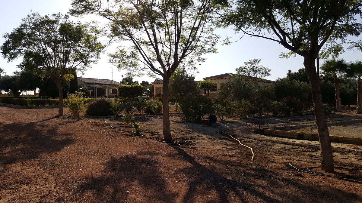 FINCA RÚSTICA ÚNICA DE 14.600 M² CON DOS VIVIENDAS, PISCINA Y COMPLEJO ECUESTRE EN LA MURADA