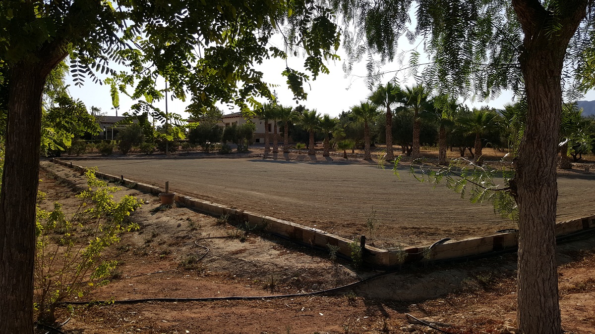 FINCA RÚSTICA ÚNICA DE 14.600 M² CON DOS VIVIENDAS, PISCINA Y COMPLEJO ECUESTRE EN LA MURADA
