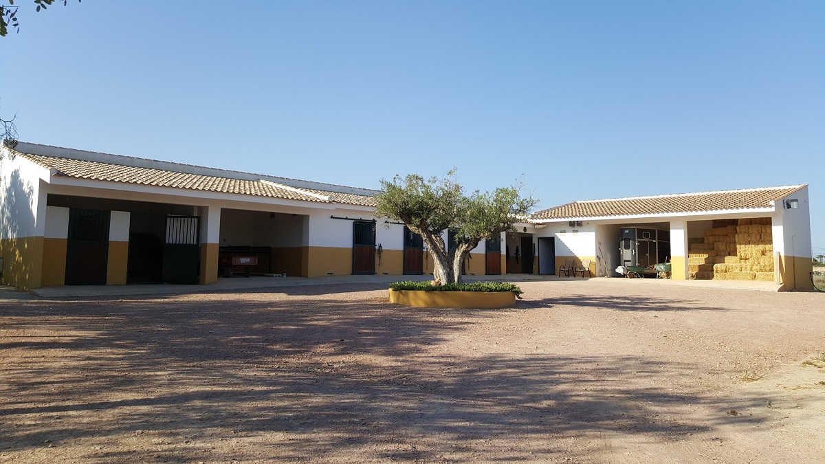 FINCA RÚSTICA ÚNICA DE 14.600 M² CON DOS VIVIENDAS, PISCINA Y COMPLEJO ECUESTRE EN LA MURADA