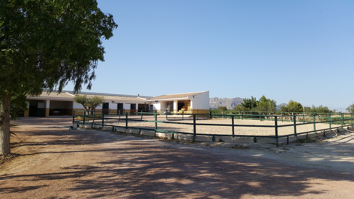 FINCA RÚSTICA ÚNICA DE 14.600 M² CON DOS VIVIENDAS, PISCINA Y COMPLEJO ECUESTRE EN LA MURADA