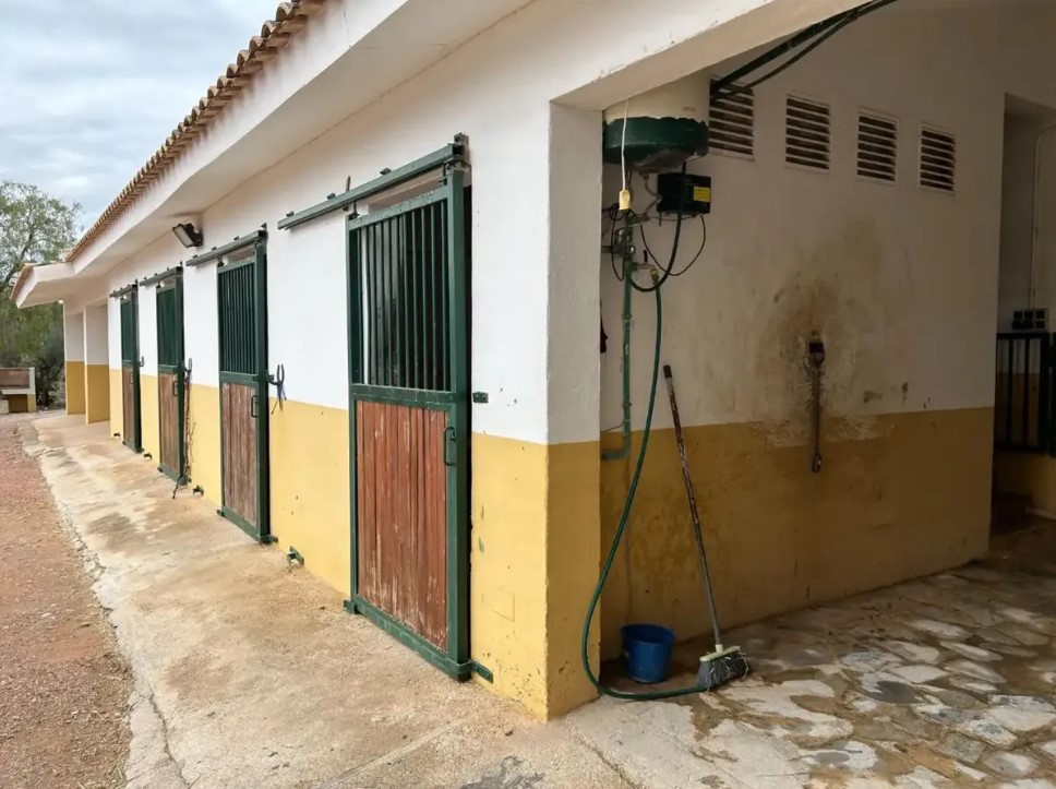 FINCA RÚSTICA ÚNICA DE 14.600 M² CON DOS VIVIENDAS, PISCINA Y COMPLEJO ECUESTRE EN LA MURADA
