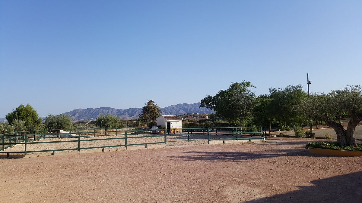 FINCA RÚSTICA ÚNICA DE 14.600 M² CON DOS VIVIENDAS, PISCINA Y COMPLEJO ECUESTRE EN LA MURADA