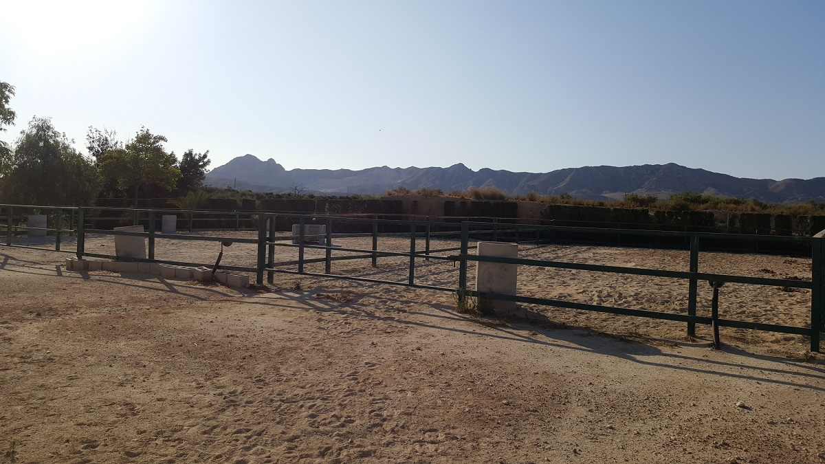 FINCA RÚSTICA ÚNICA DE 14.600 M² CON DOS VIVIENDAS, PISCINA Y COMPLEJO ECUESTRE EN LA MURADA