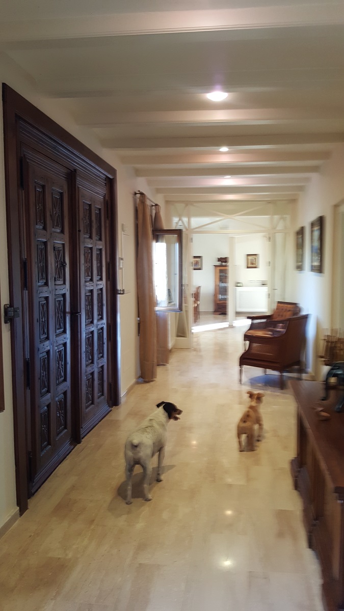 FINCA RÚSTICA ÚNICA DE 14.600 M² CON DOS VIVIENDAS, PISCINA Y COMPLEJO ECUESTRE EN LA MURADA