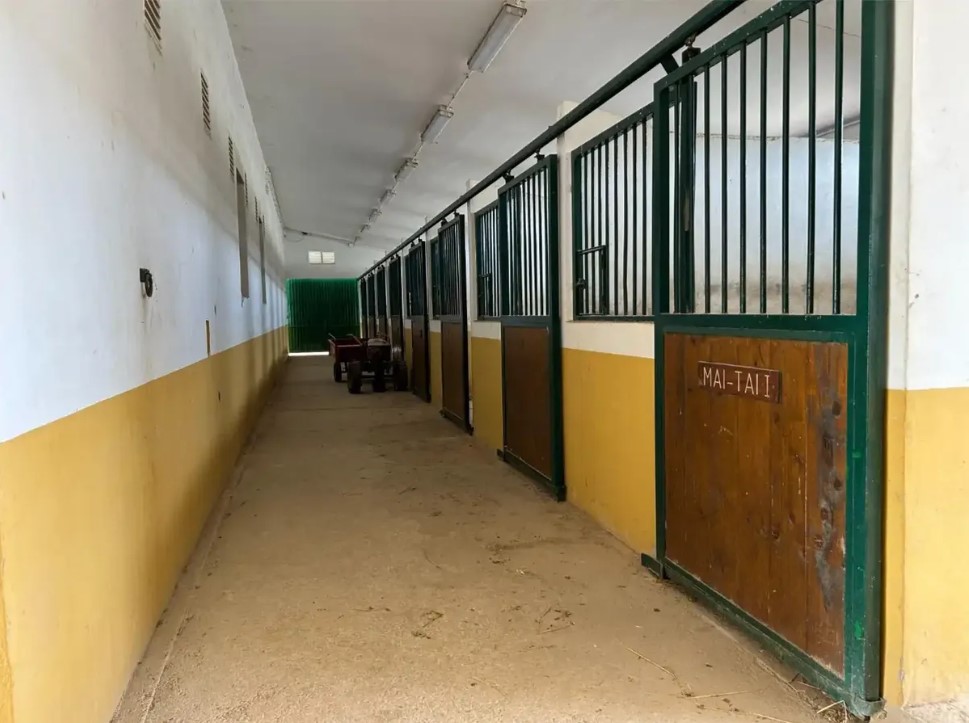 FINCA RÚSTICA ÚNICA DE 14.600 M² CON DOS VIVIENDAS, PISCINA Y COMPLEJO ECUESTRE EN LA MURADA