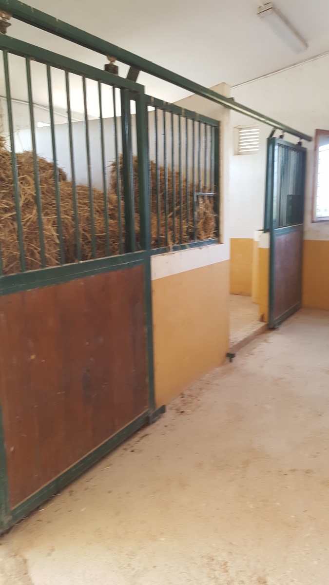 FINCA RÚSTICA ÚNICA DE 14.600 M² CON DOS VIVIENDAS, PISCINA Y COMPLEJO ECUESTRE EN LA MURADA