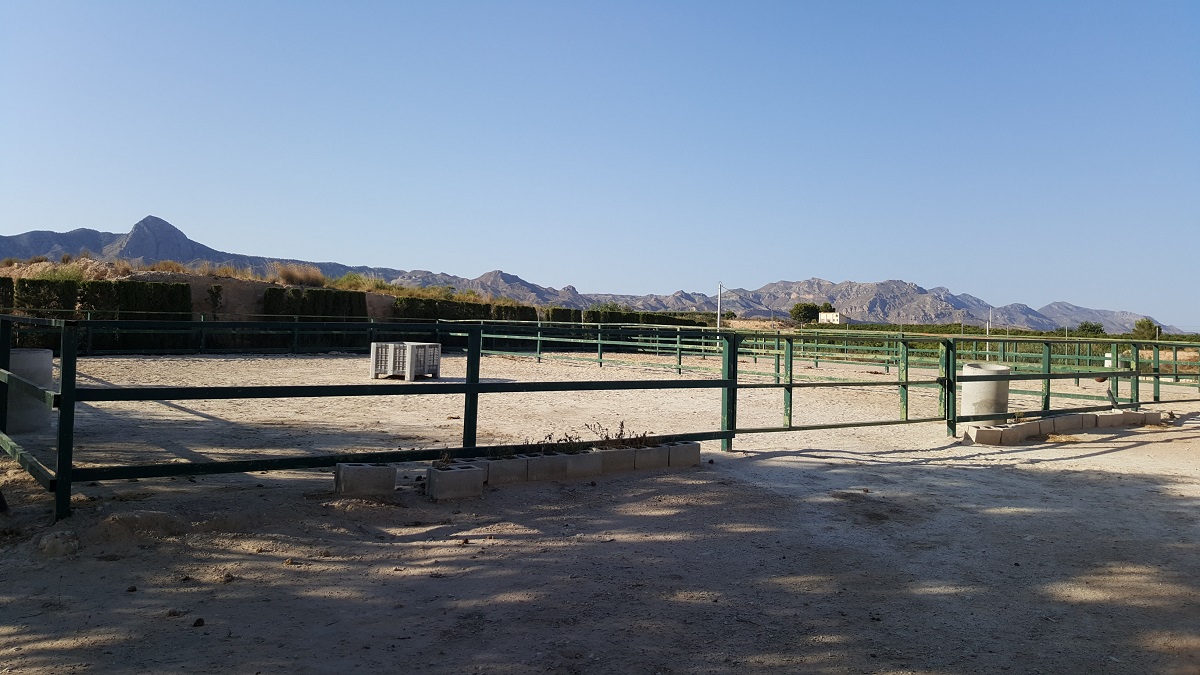FINCA RÚSTICA ÚNICA DE 14.600 M² CON DOS VIVIENDAS, PISCINA Y COMPLEJO ECUESTRE EN LA MURADA