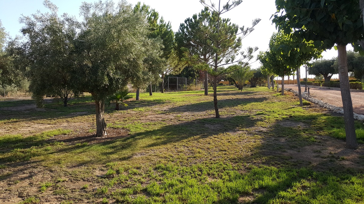 FINCA RÚSTICA ÚNICA DE 14.600 M² CON DOS VIVIENDAS, PISCINA Y COMPLEJO ECUESTRE EN LA MURADA