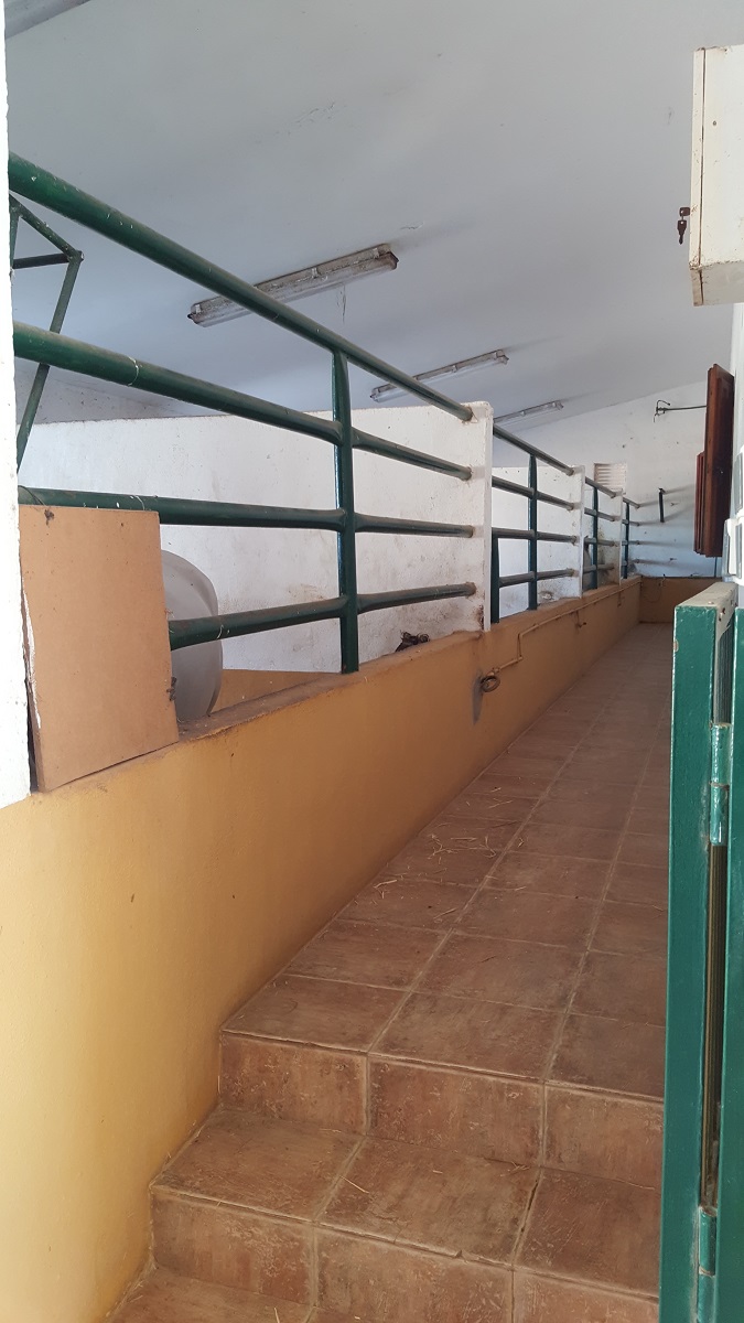 FINCA RÚSTICA ÚNICA DE 14.600 M² CON DOS VIVIENDAS, PISCINA Y COMPLEJO ECUESTRE EN LA MURADA