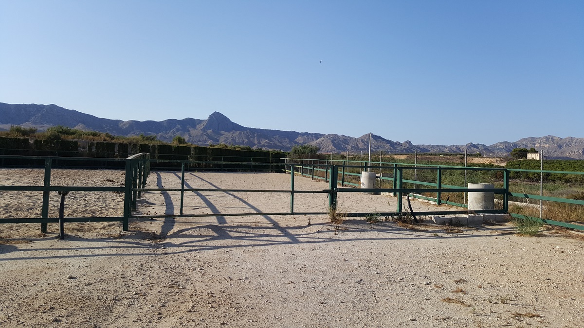 FINCA RÚSTICA ÚNICA DE 14.600 M² CON DOS VIVIENDAS, PISCINA Y COMPLEJO ECUESTRE EN LA MURADA
