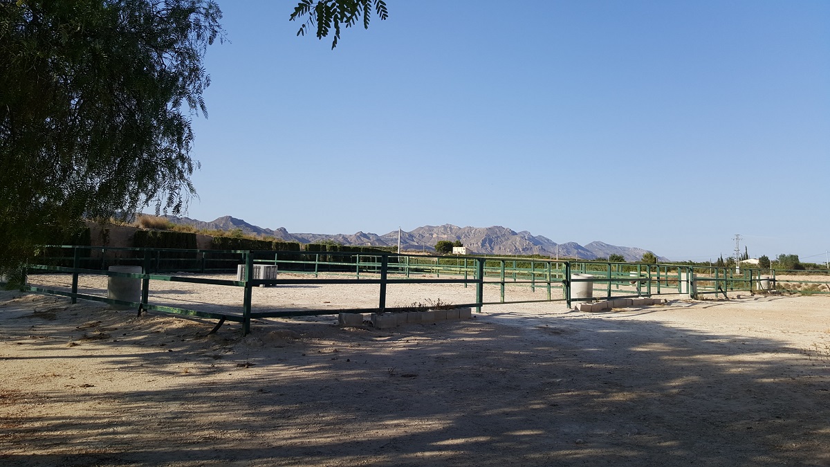 FINCA RÚSTICA ÚNICA DE 14.600 M² CON DOS VIVIENDAS, PISCINA Y COMPLEJO ECUESTRE EN LA MURADA