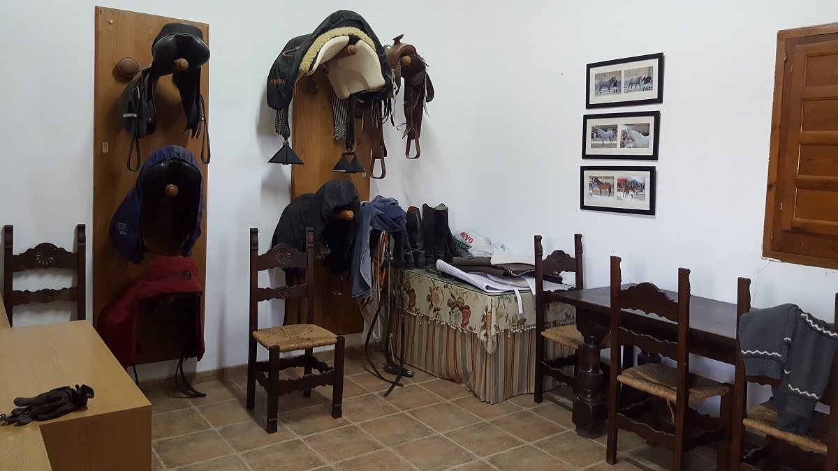 FINCA RÚSTICA ÚNICA DE 14.600 M² CON DOS VIVIENDAS, PISCINA Y COMPLEJO ECUESTRE EN LA MURADA