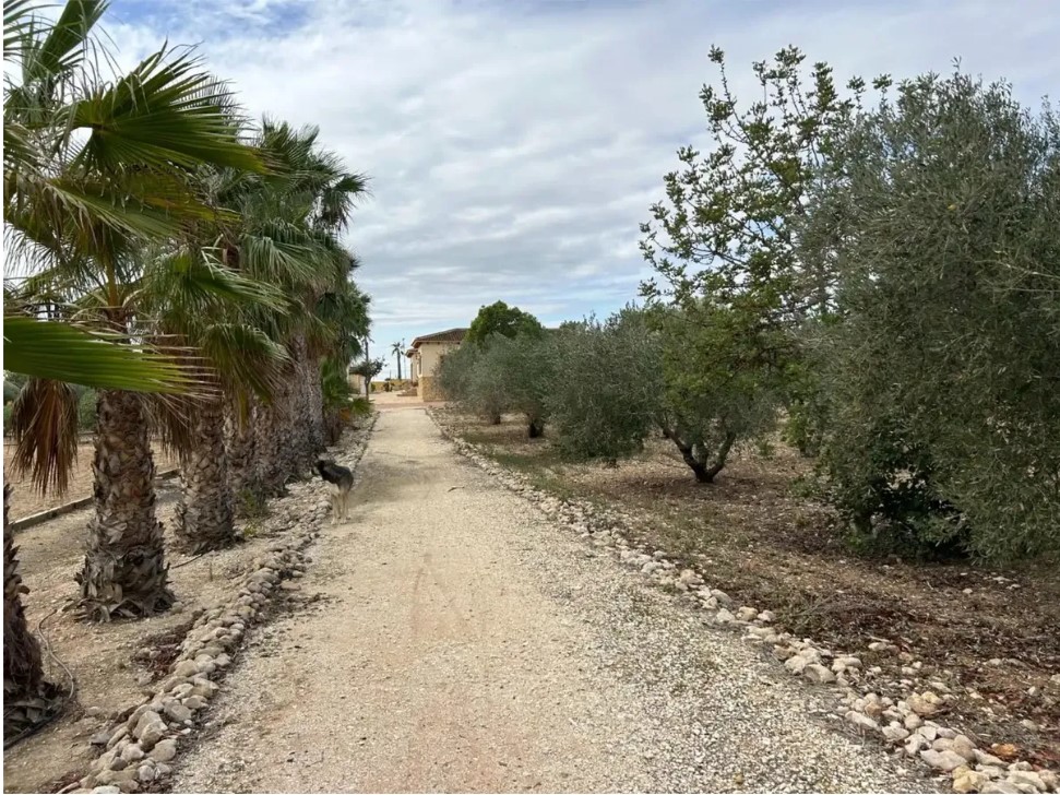 FINCA RÚSTICA ÚNICA DE 14.600 M² CON DOS VIVIENDAS, PISCINA Y COMPLEJO ECUESTRE EN LA MURADA