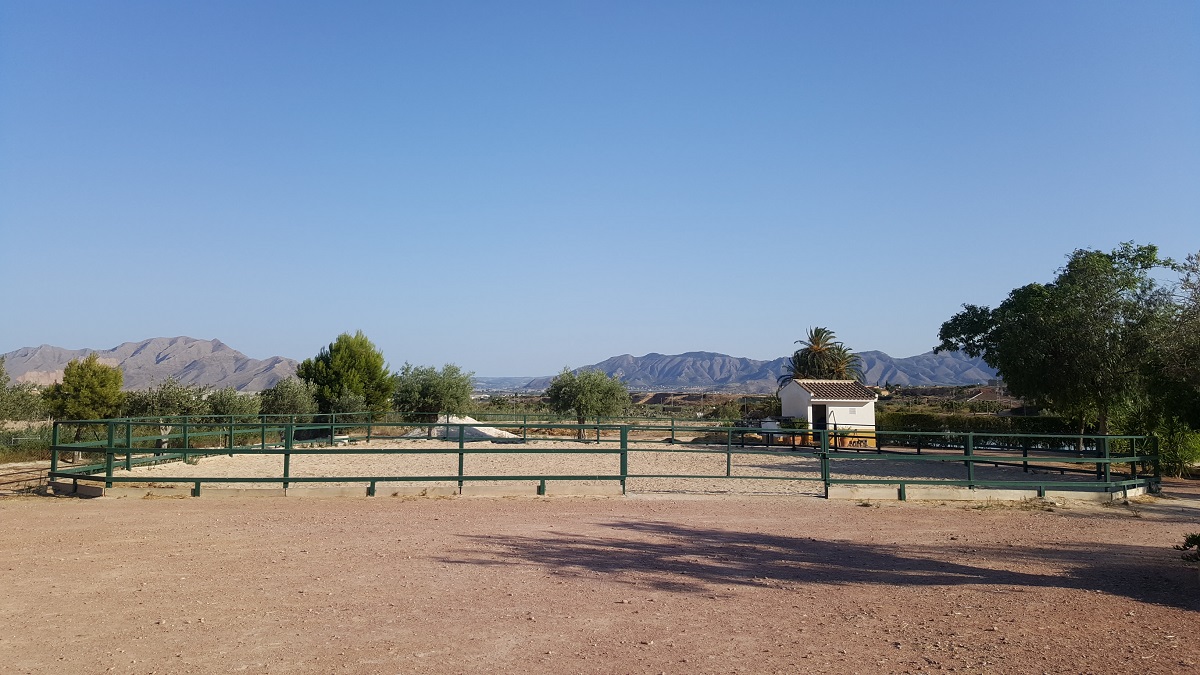 FINCA RÚSTICA ÚNICA DE 14.600 M² CON DOS VIVIENDAS, PISCINA Y COMPLEJO ECUESTRE EN LA MURADA