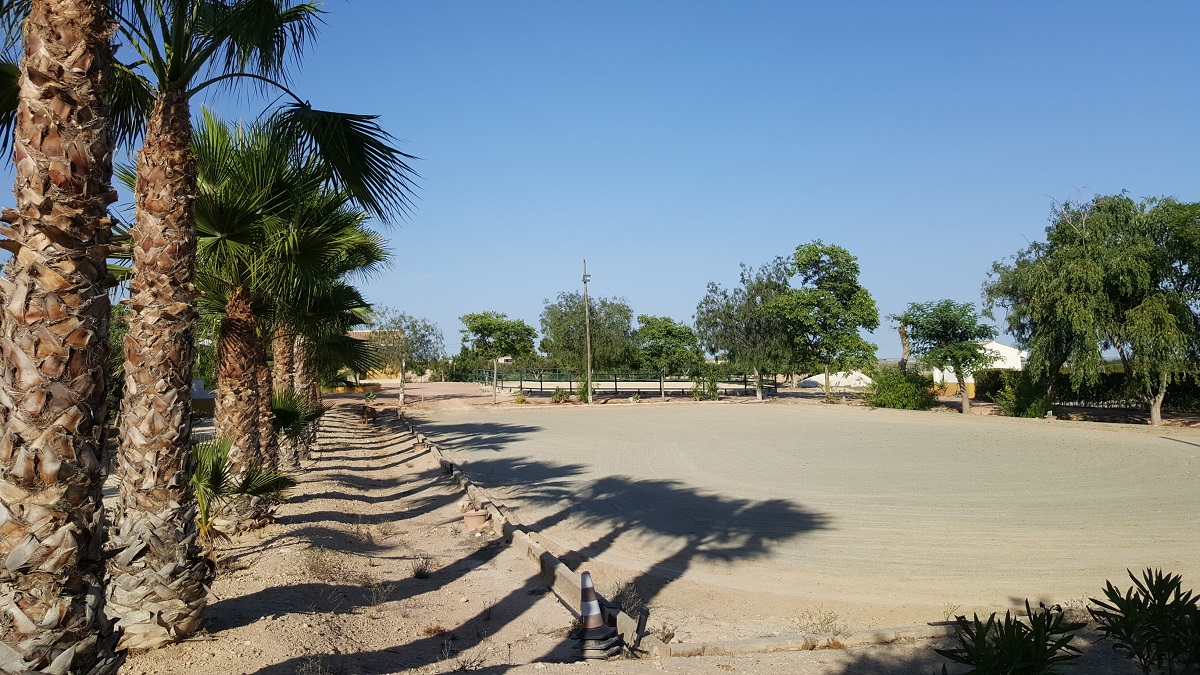 FINCA RÚSTICA ÚNICA DE 14.600 M² CON DOS VIVIENDAS, PISCINA Y COMPLEJO ECUESTRE EN LA MURADA