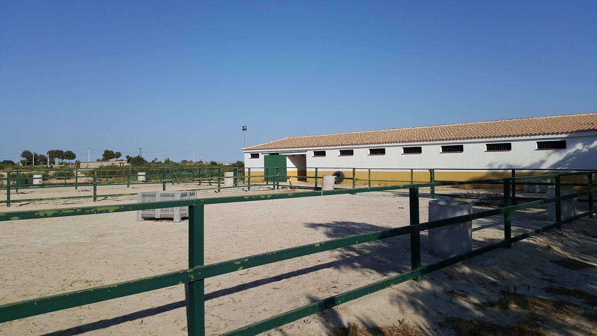 FINCA RÚSTICA ÚNICA DE 14.600 M² CON DOS VIVIENDAS, PISCINA Y COMPLEJO ECUESTRE EN LA MURADA