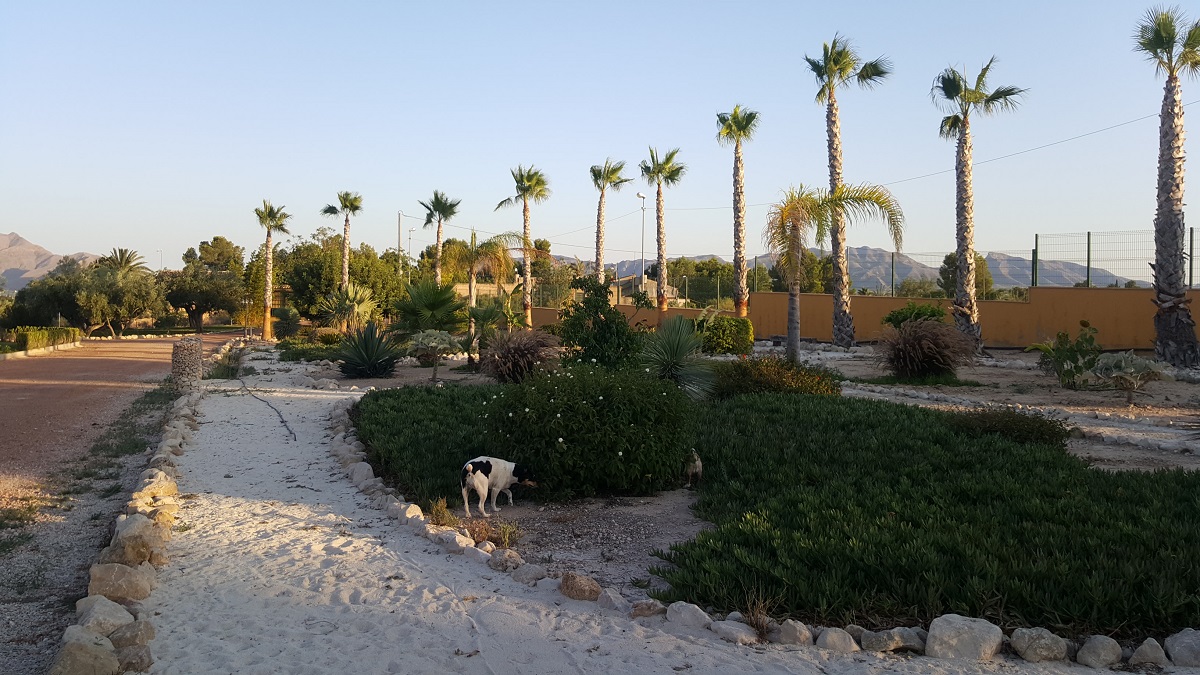 FINCA RÚSTICA ÚNICA DE 14.600 M² CON DOS VIVIENDAS, PISCINA Y COMPLEJO ECUESTRE EN LA MURADA