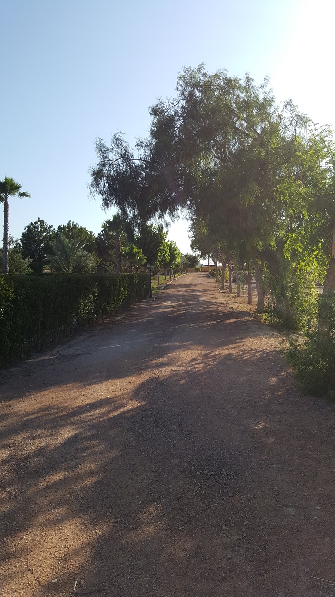 FINCA RÚSTICA ÚNICA DE 14.600 M² CON DOS VIVIENDAS, PISCINA Y COMPLEJO ECUESTRE EN LA MURADA