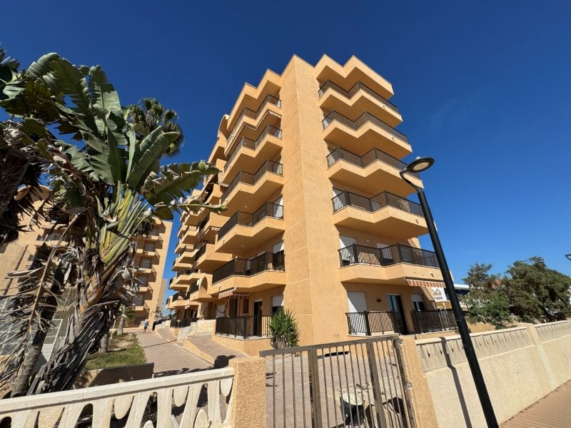 PRIMERA LÍNEA DE PLAYA EN LA MATA: APARTAMENTO RENOVADO CON VISTAS FRONTALES AL MAR, TERRAZA Y GARAJE