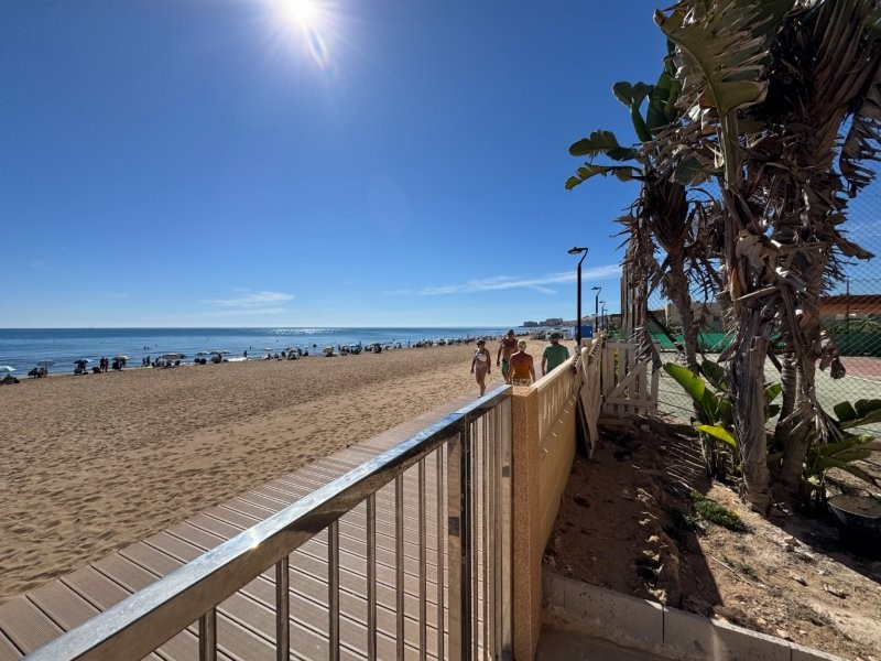 PRIMERA LÍNEA DE PLAYA EN LA MATA: APARTAMENTO RENOVADO CON VISTAS FRONTALES AL MAR, TERRAZA Y GARAJE