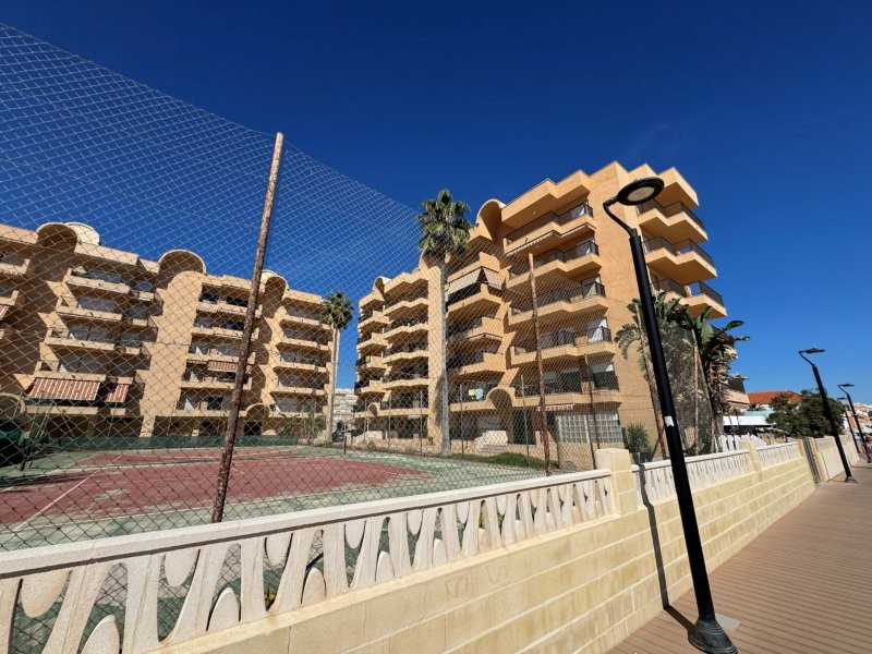 PRIMERA LÍNEA DE PLAYA EN LA MATA: APARTAMENTO RENOVADO CON VISTAS FRONTALES AL MAR, TERRAZA Y GARAJE