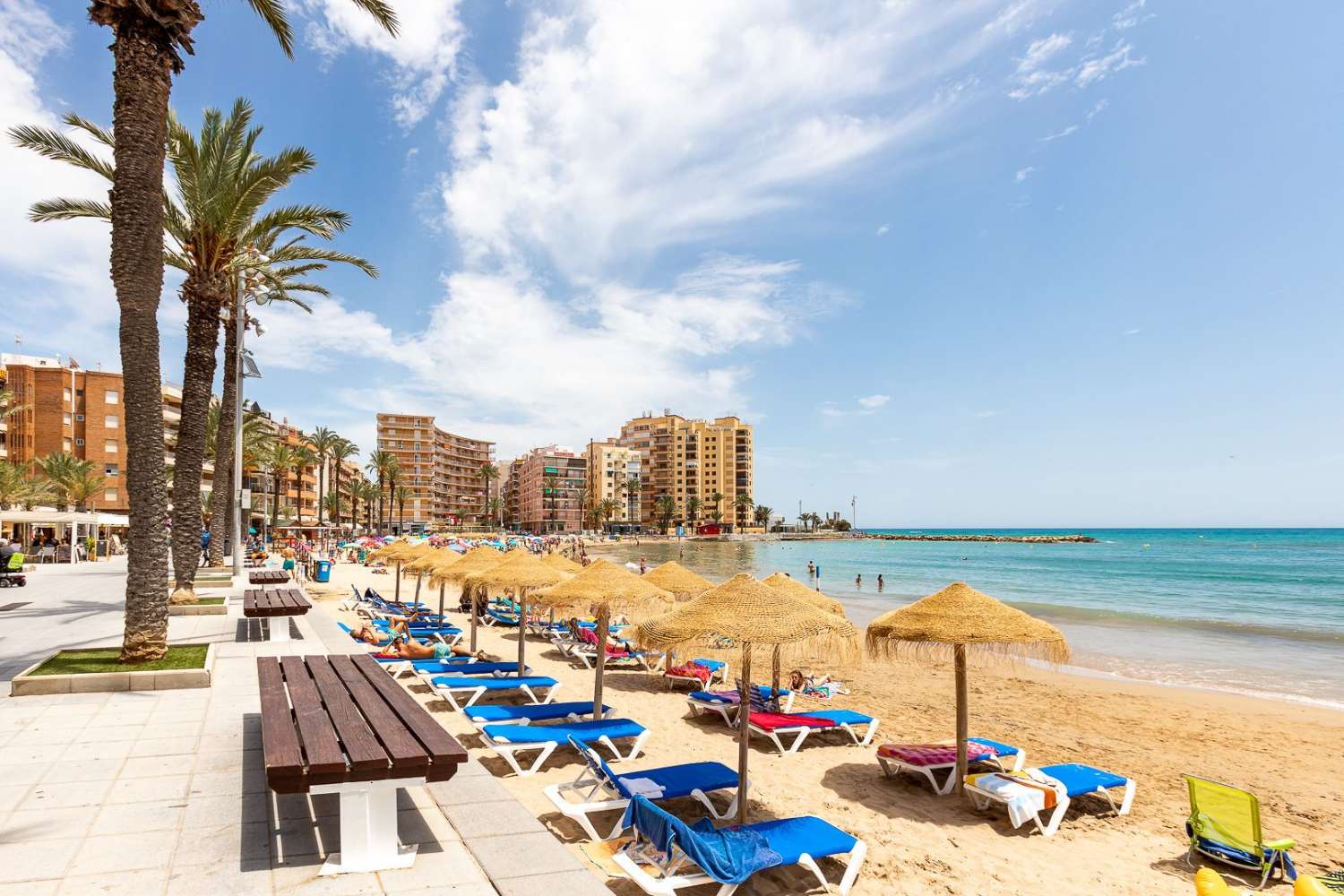 APARTAMENTO CON PISCINA COMUNITARIA EN PLENO CENTRO DE TORREVIEJA, CALLE LA LOMA