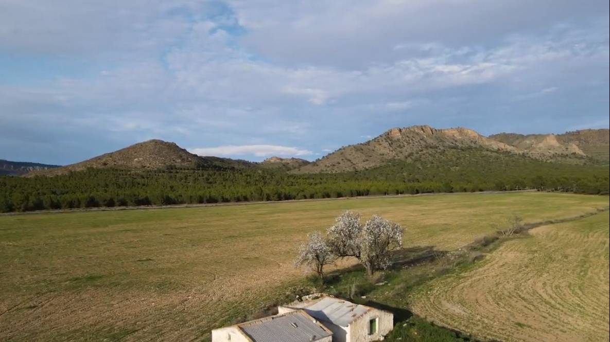 IRRIGATION FARM IN HELLÍN (ALBACETE) OF 63.5 HECTARES