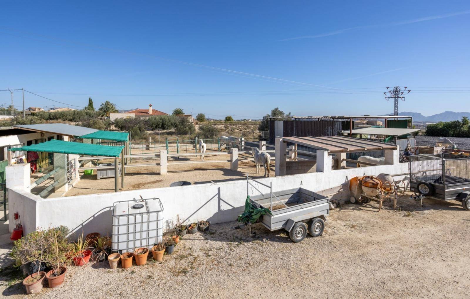EQUESTRIAN PROPERTY IN FORTUNA WITH 5 APARTMENTS - MAIN HOUSE AND STABLES