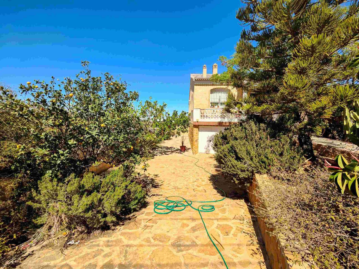 "UNIQUE OPPORTUNITY! DETACHED 2 BEDROOM VILLA WITH LARGE PLOT IN AGUAS NUEVAS, TORREVIEJA."